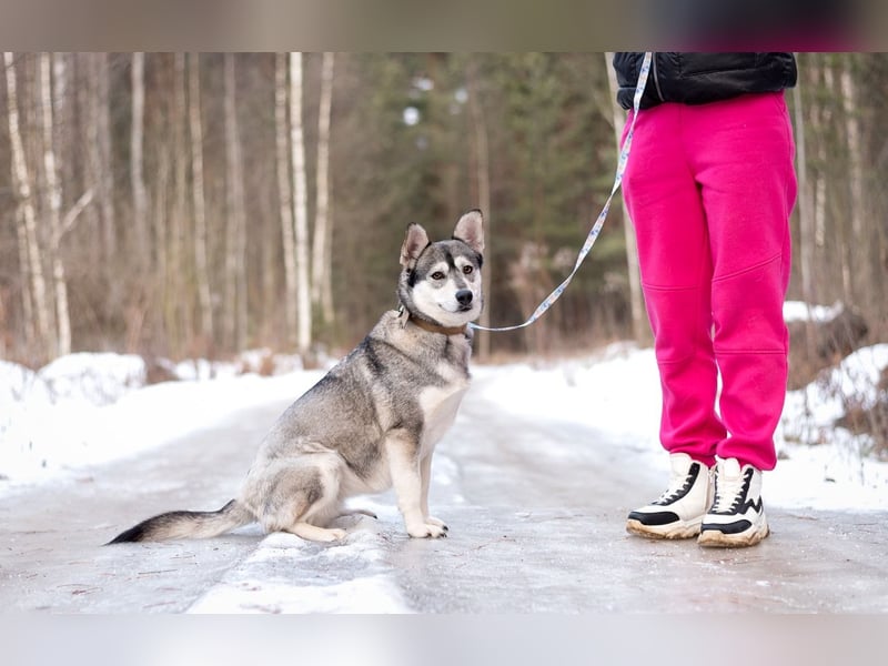 Hübsche KUKLA sucht ein Familie