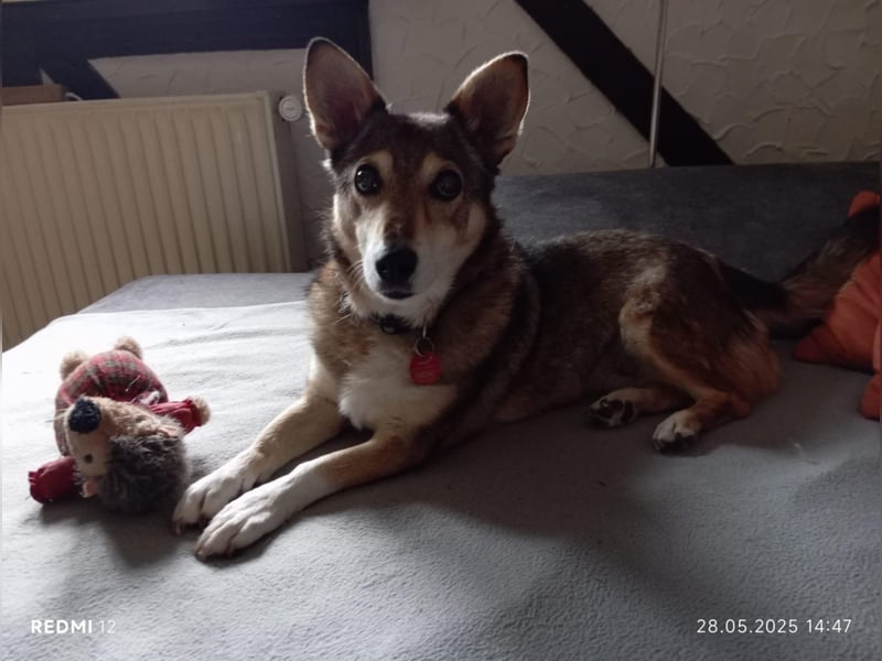 Lucia-Seniorin sucht Senioren-WG!