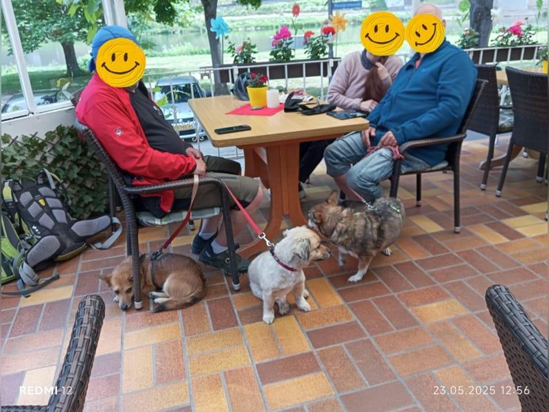 Lucia-Seniorin sucht Senioren-WG!