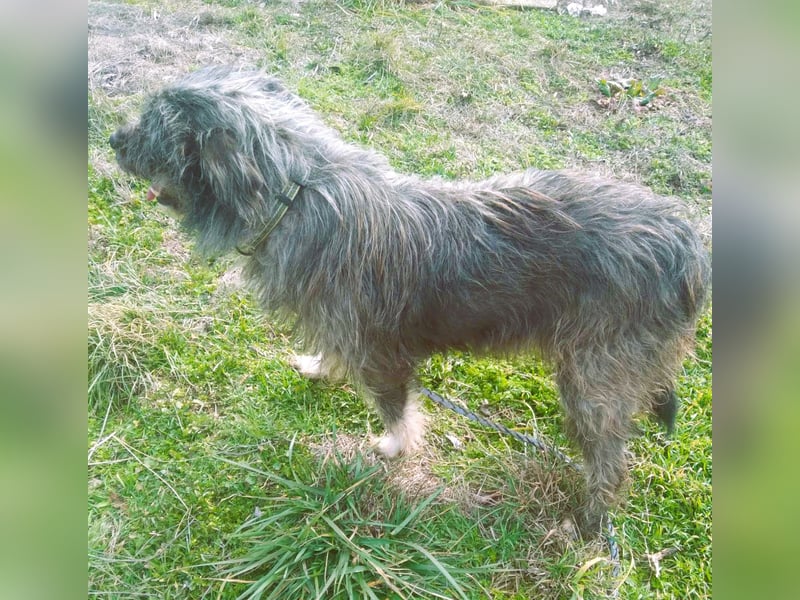 Wuscheltraum Mädchen Ellie – sucht ihr Glück