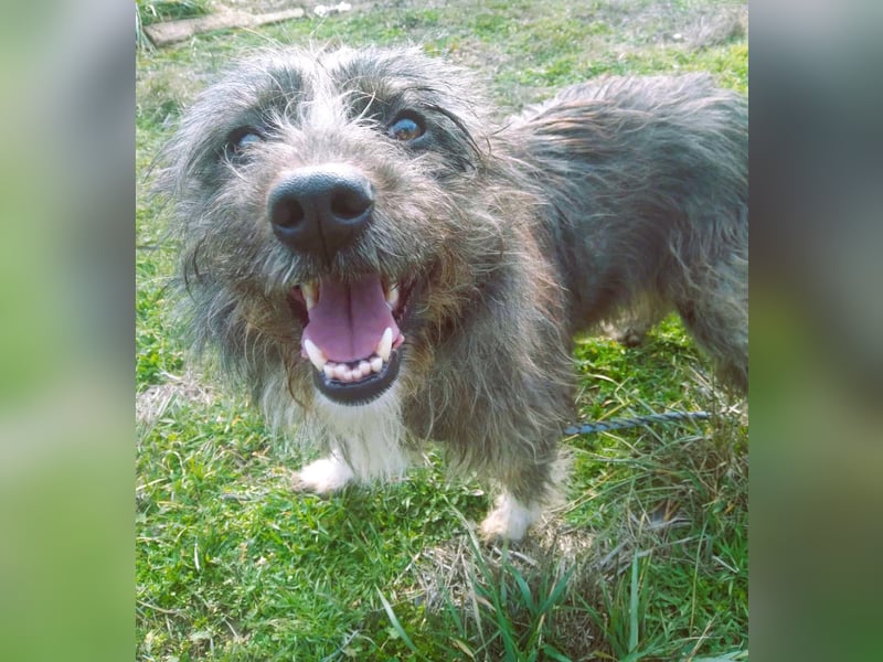 Wuscheltraum Mädchen Ellie – sucht ihr Glück