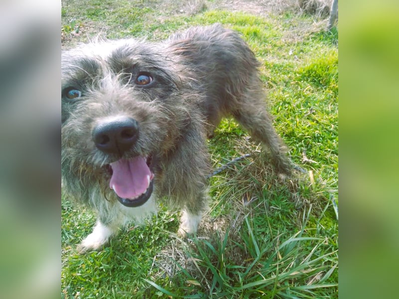 Wuscheltraum Mädchen Ellie – sucht ihr Glück