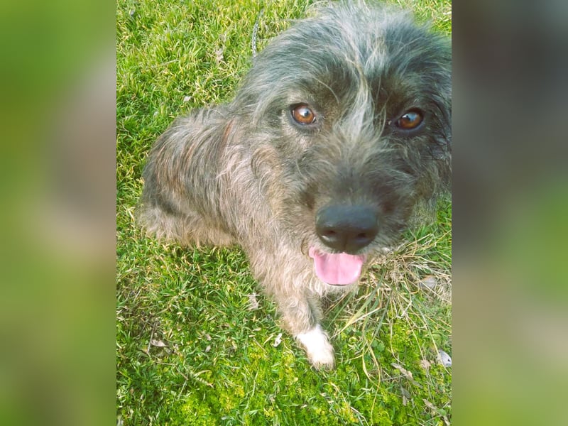 Wuscheltraum Mädchen Ellie – sucht ihr Glück