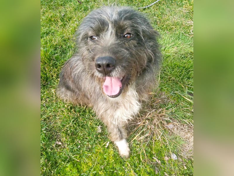 Wuscheltraum Mädchen Ellie – sucht ihr Glück