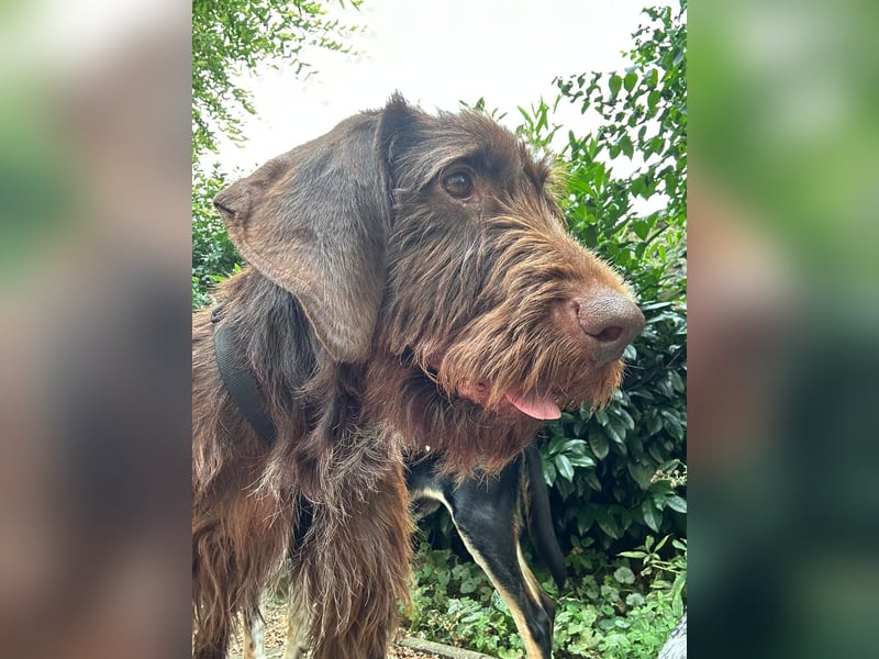 hübsche & aufgeschlossene PIPPI sucht ihre Herzensmenschen