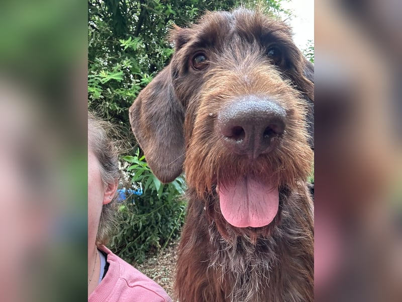 hübsche & aufgeschlossene PIPPI sucht ihre Herzensmenschen