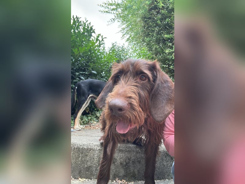 hübsche & aufgeschlossene PIPPI sucht ihre Herzensmenschen