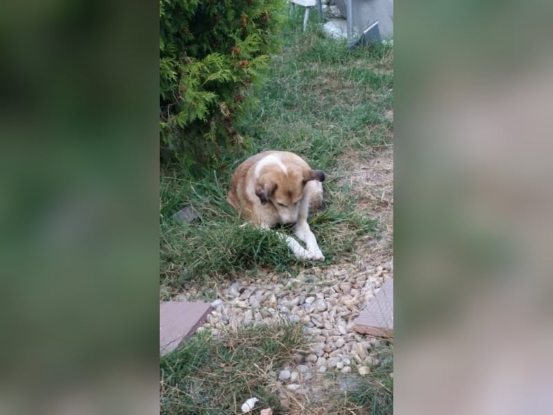 Omi Babuta sucht Arme zum Festhalten