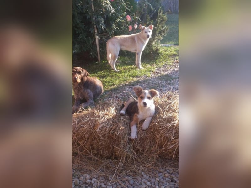 Omi Babuta sucht Arme zum Festhalten