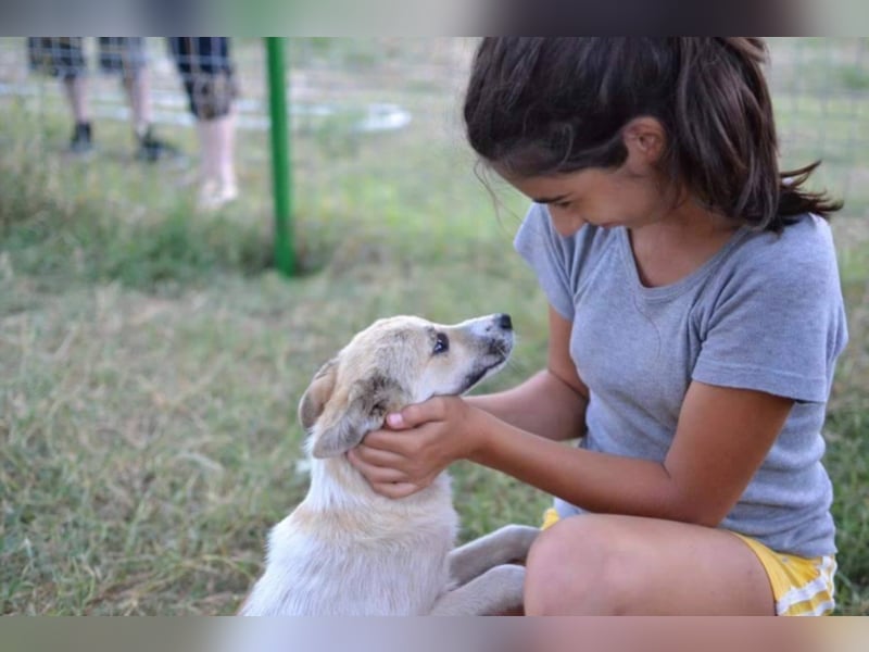 Daisy - Unsere Schmusegöttin sucht ihr eigenes Körbchen