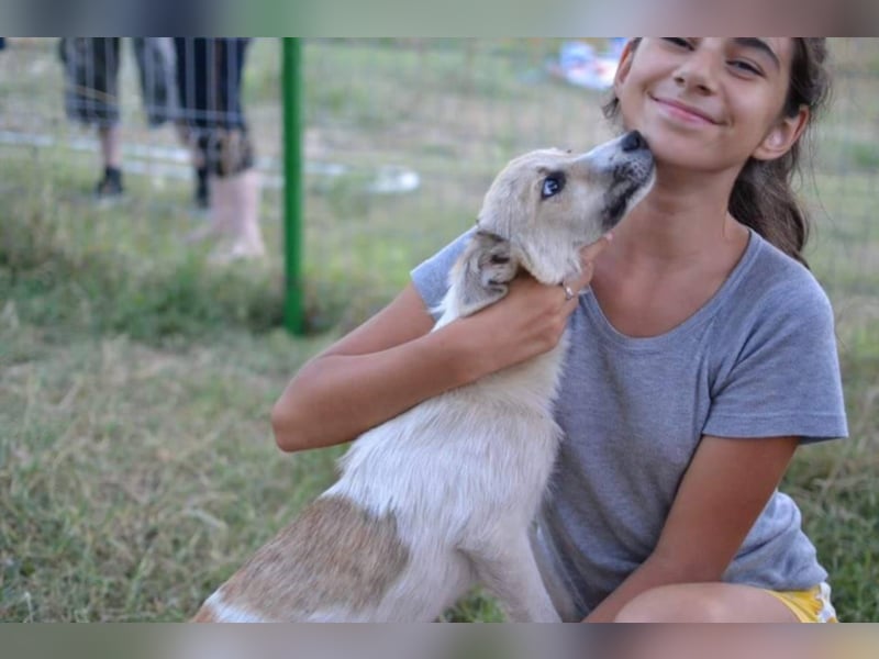 Daisy - Unsere Schmusegöttin sucht ihr eigenes Körbchen