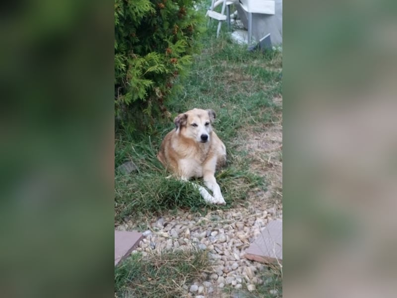 Omi Babuta sucht Arme zum Festhalten