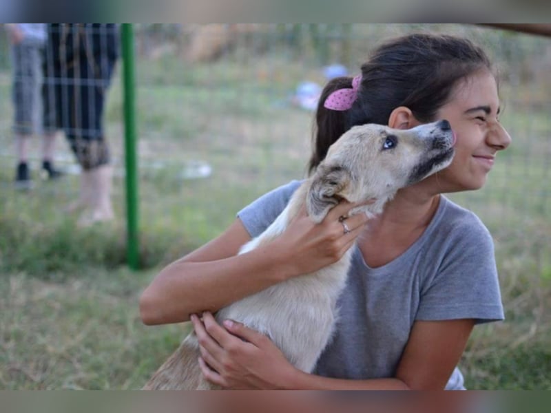 Daisy - Unsere Schmusegöttin sucht ihr eigenes Körbchen