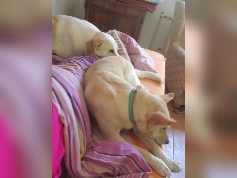 Mila, erwachsene Frau der vielen Facetten