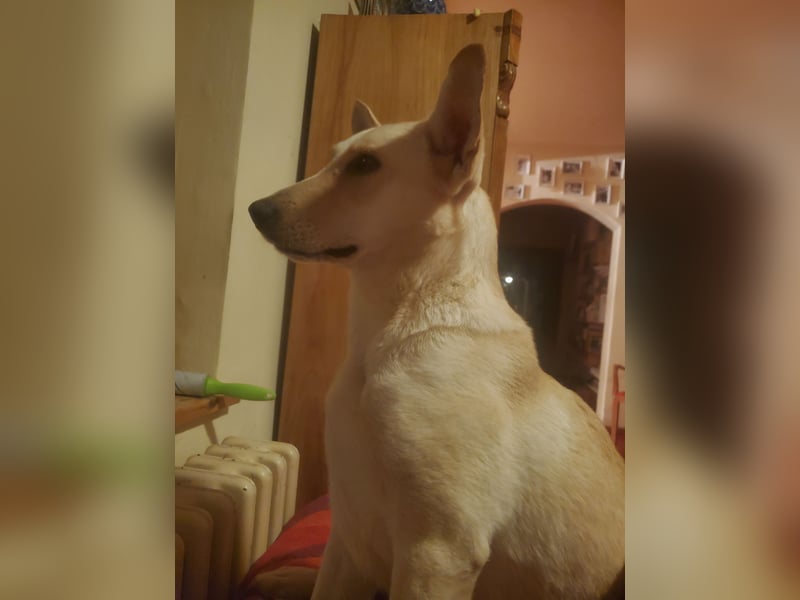 Mila, erwachsene Frau der vielen Facetten