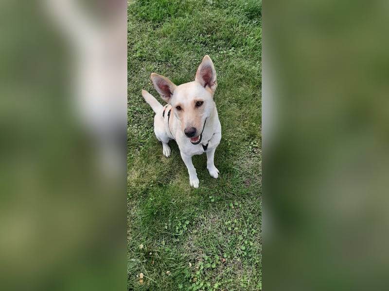 Mila, erwachsene Frau der vielen Facetten