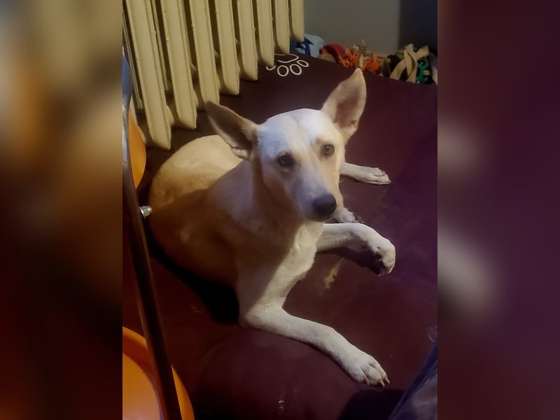 Mila, erwachsene Frau der vielen Facetten