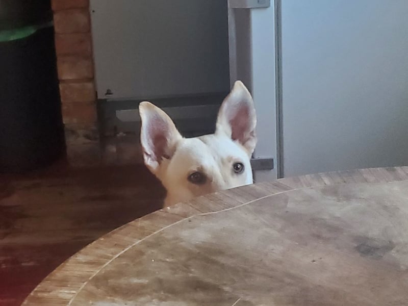 Mila, erwachsene Frau der vielen Facetten