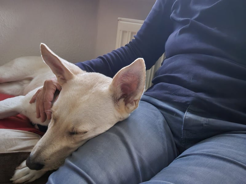 Mila, erwachsene Frau der vielen Facetten