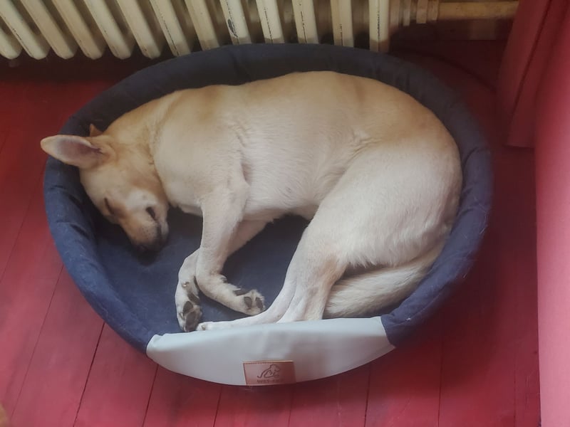 Mila, erwachsene Frau der vielen Facetten