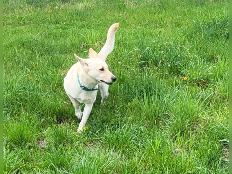 Mila, erwachsene Frau der vielen Facetten