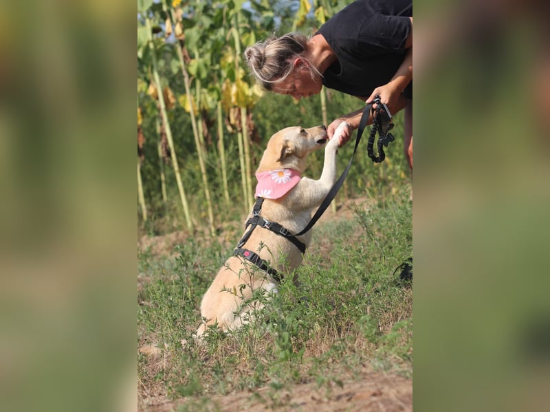 Mila, erwachsene Frau der vielen Facetten
