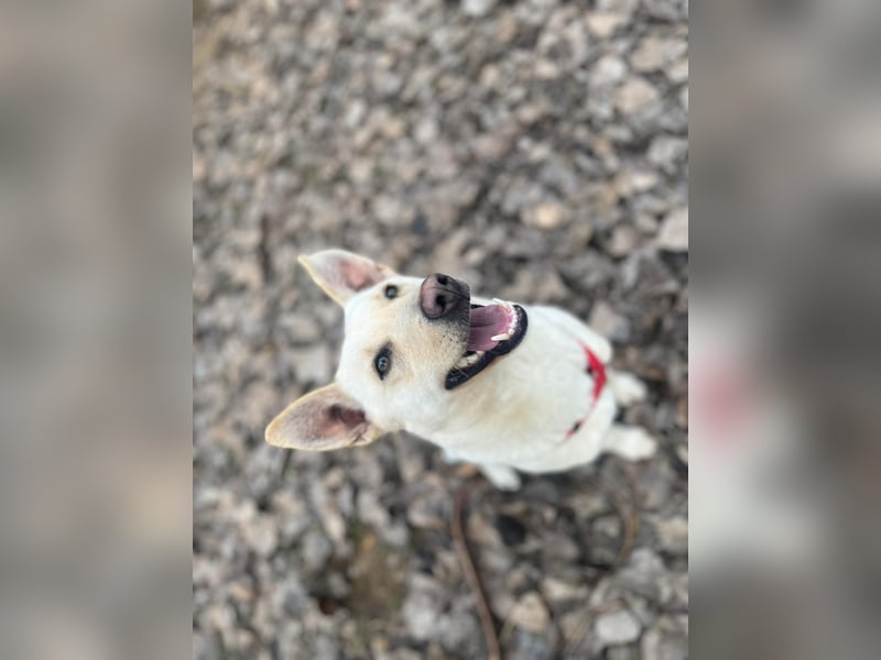 Mila, erwachsene Frau der vielen Facetten