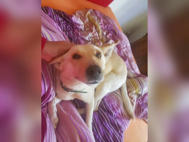 Mila, erwachsene Frau der vielen Facetten