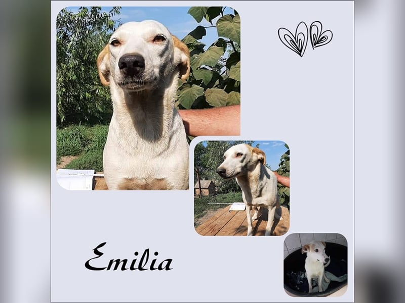 Die zauberhaft Emilia stellt sich vor