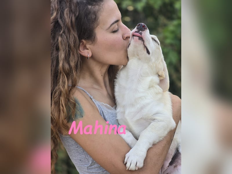 Mahina 01/2025 (ESP) - anhängliches und freundliches, süßes kleines Mädchen!