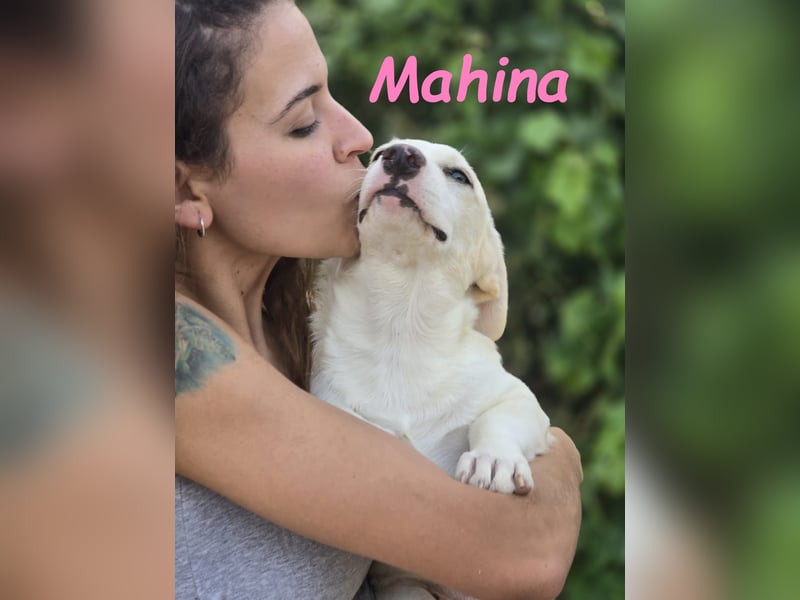 Mahina 01/2025 (ESP) - anhängliches und freundliches, süßes kleines Mädchen!
