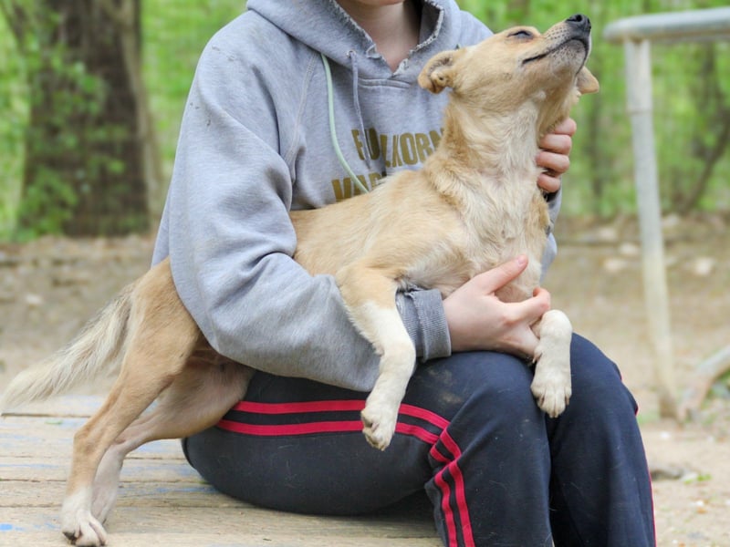 Kuscheln und Schmusen - INESSA ist mit dabei