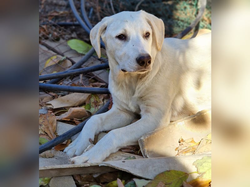 Violet:“……und jetzt nachhause zu meiner Familie!“