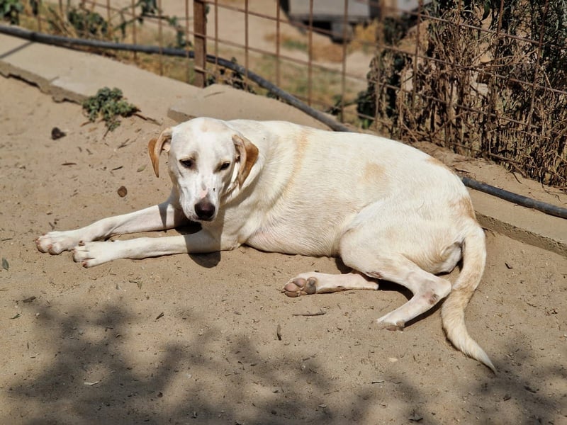 Violet:“……und jetzt nachhause zu meiner Familie!“