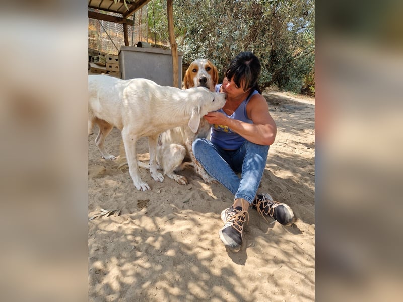 Violet:“……und jetzt nachhause zu meiner Familie!“