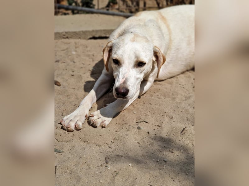 Violet:“……und jetzt nachhause zu meiner Familie!“