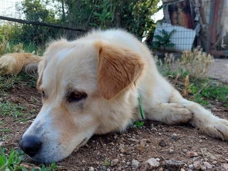 Die hübsche Mona sucht ihre Familie