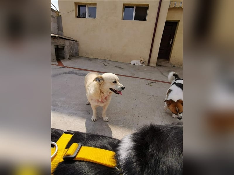 Thessa sucht ihren sicheren Hafen