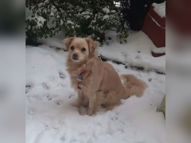 Lebensfrohe EMMY sucht gemütlichen Kuschelplatz
