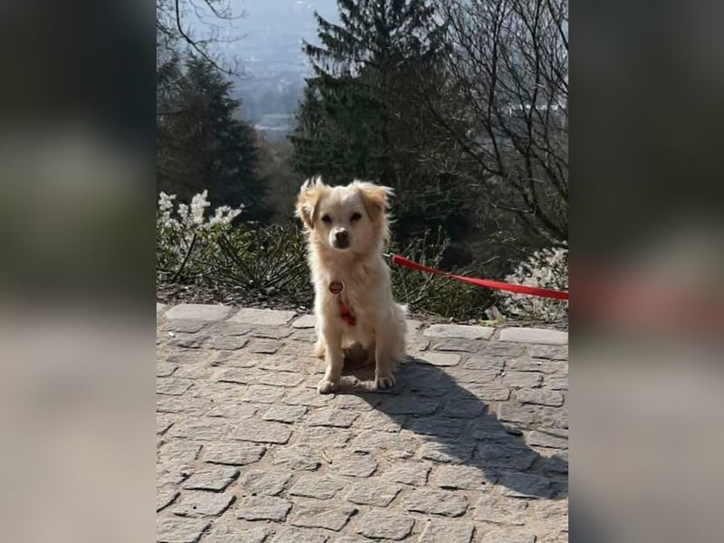 Lebensfrohe EMMY sucht gemütlichen Kuschelplatz
