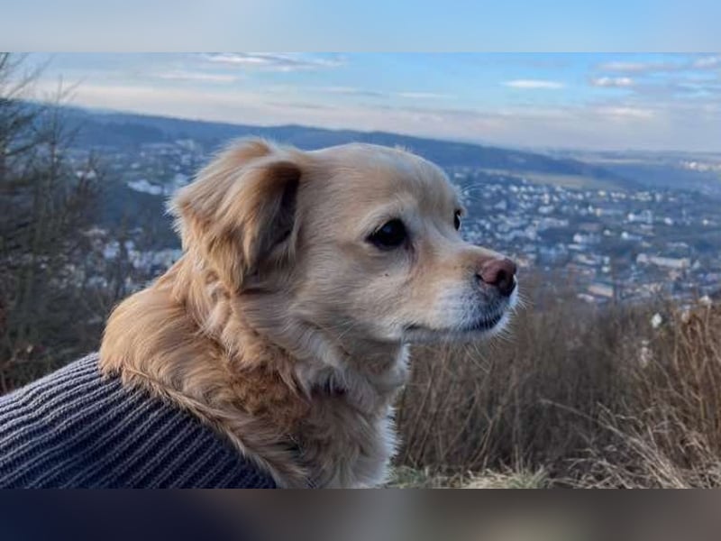 Lebensfrohe EMMY sucht gemütlichen Kuschelplatz