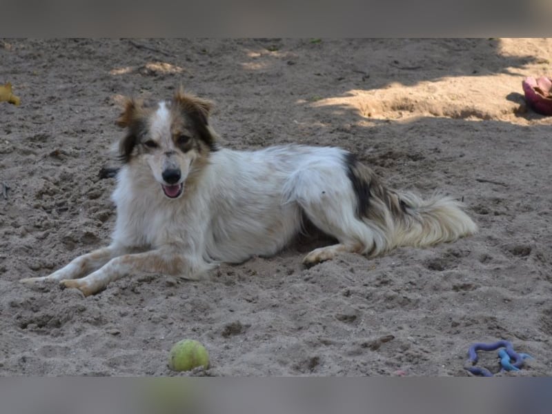 Die kleine Minna sucht ein liebevolles Zuhause