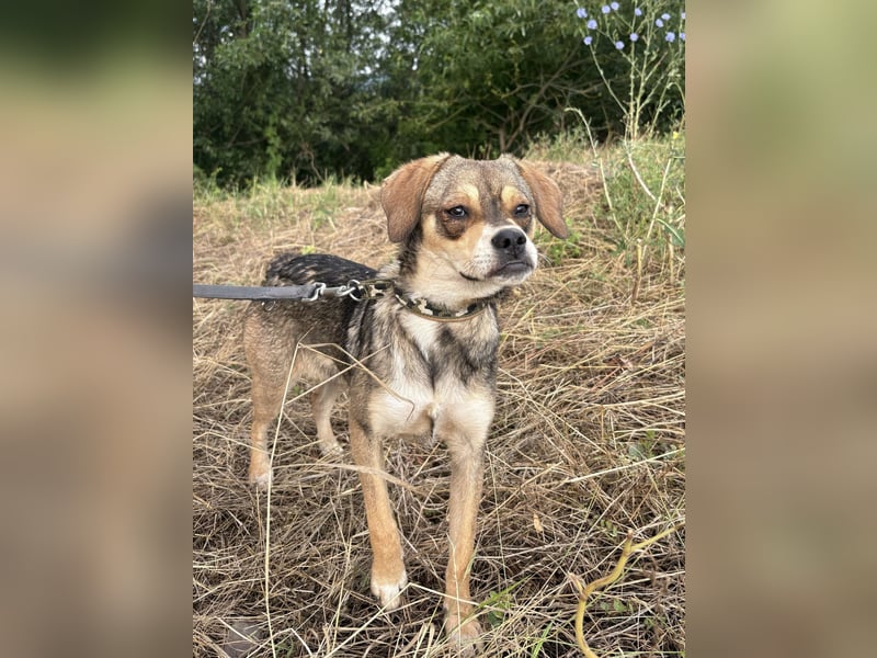 Liebenswerte Kaia sucht ihre Familie