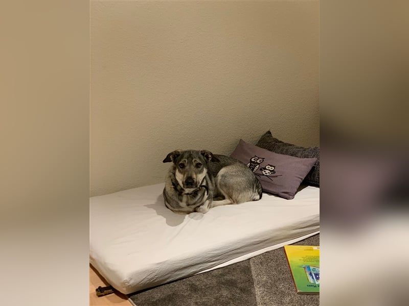 Kleine Svea sucht neues Zuhause