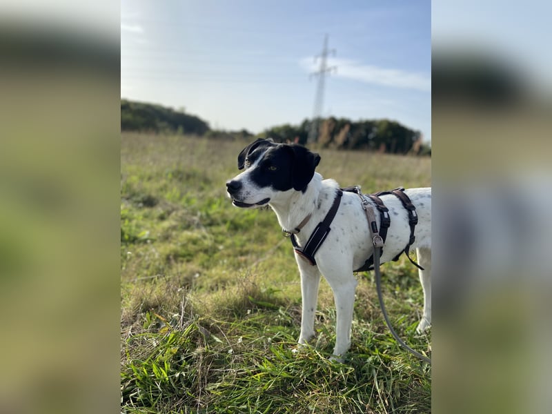 Liebe Xenia sucht erfahrene Menschen