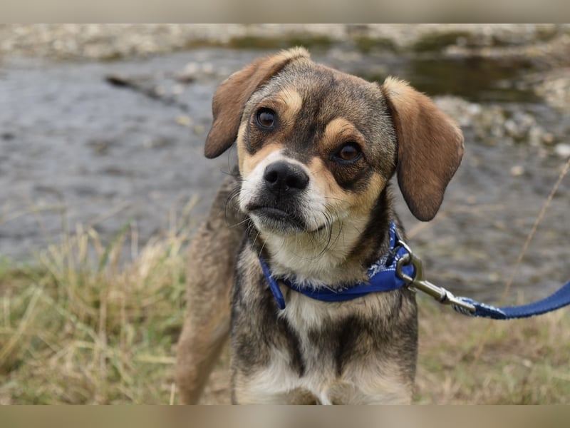 Liebenswerte Kaia sucht ihre Familie