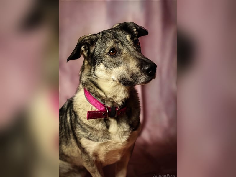 Kleine Svea sucht neues Zuhause
