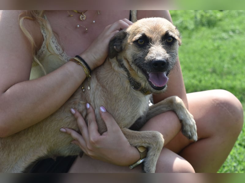 Menschenbezogene Smilla sucht ihre Familie