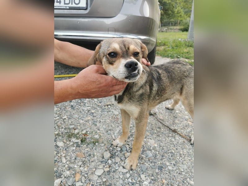 Liebenswerte Kaia sucht ihre Familie