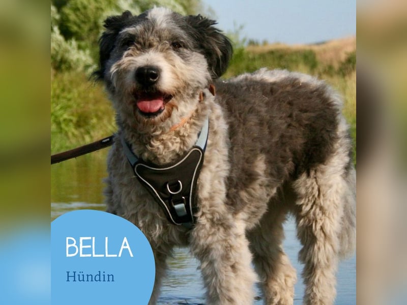 Freundliche Bella sucht ihr Zuhause